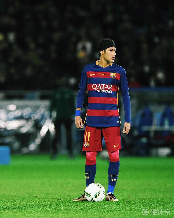 仅展示了布 仅展示了布