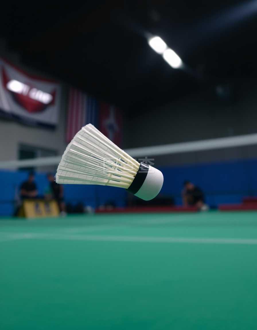 个职业球员 个职业球员